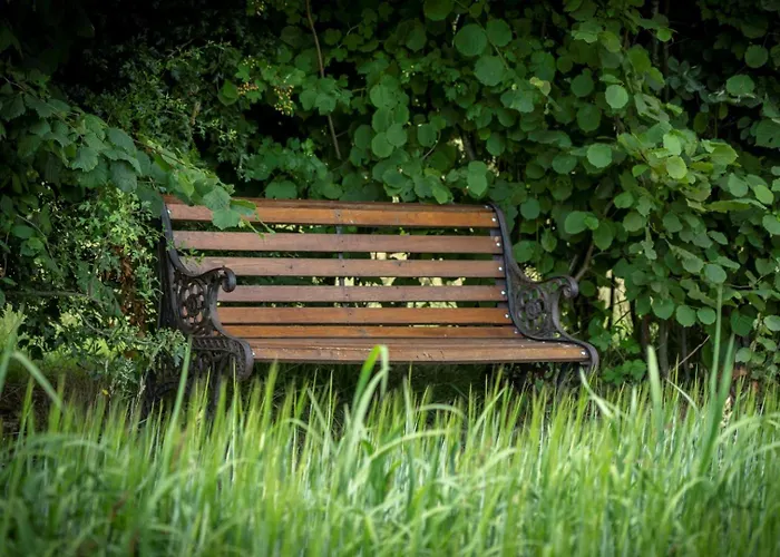 Hof Bed and breakfast Halle