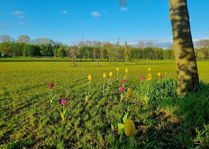 Bed and breakfast Hof Halle