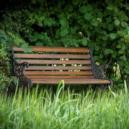 Hof Bed & Breakfast Halle