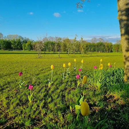 Bed & Breakfast Hof Halle