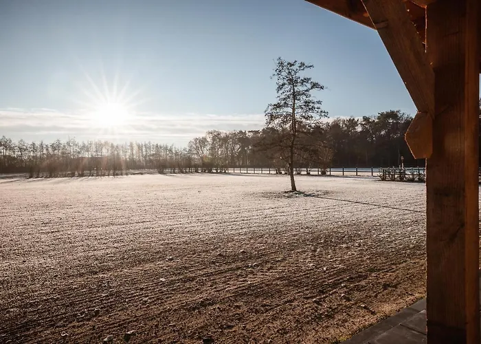 לינה וארוחת בוקר Hof Halle